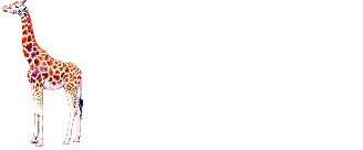 Giraffe — Элитное экскорт-агентство в Нижнем Новгороде